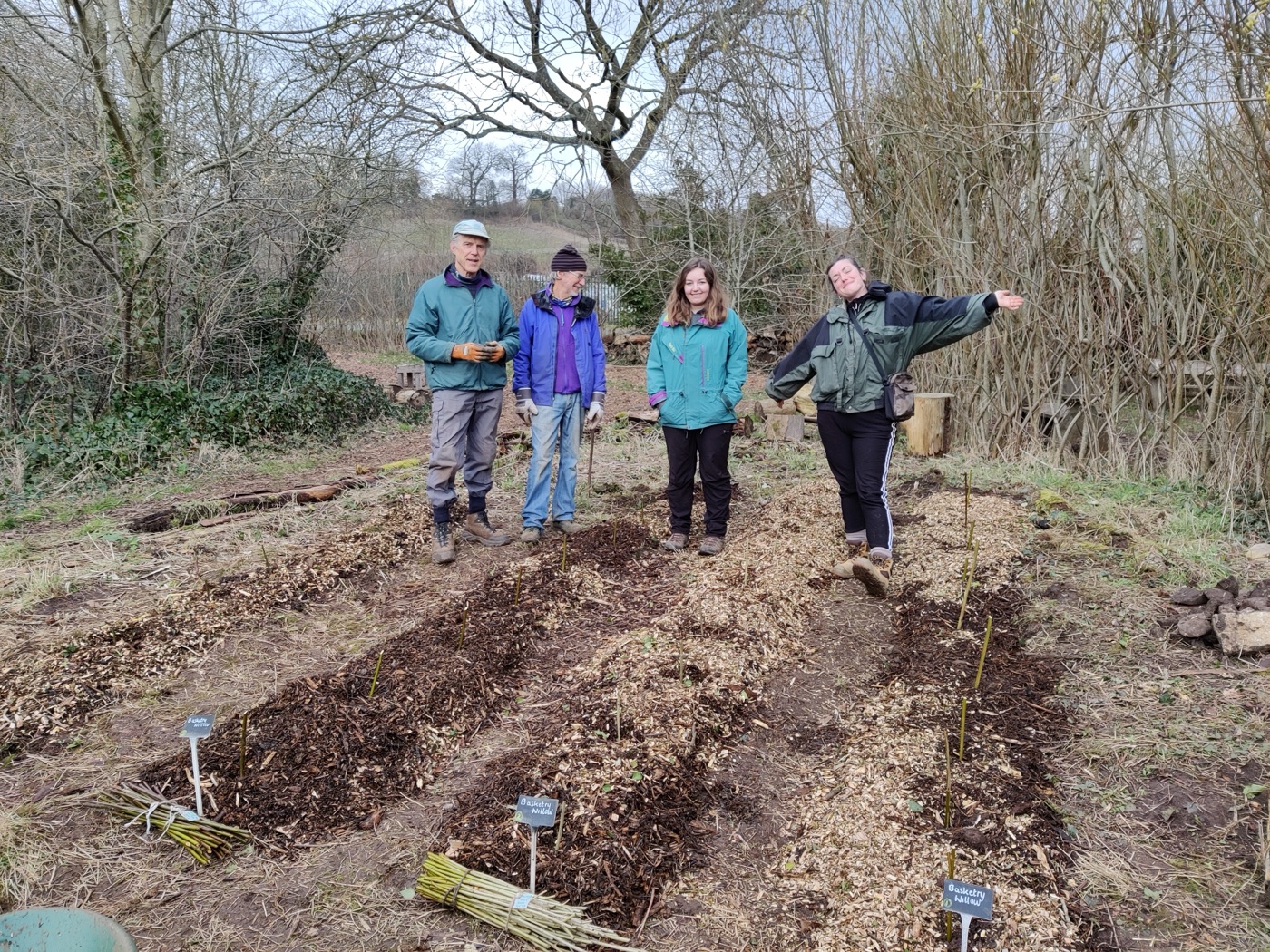Volunteers beside freshly planted and mulched basketry willow beds