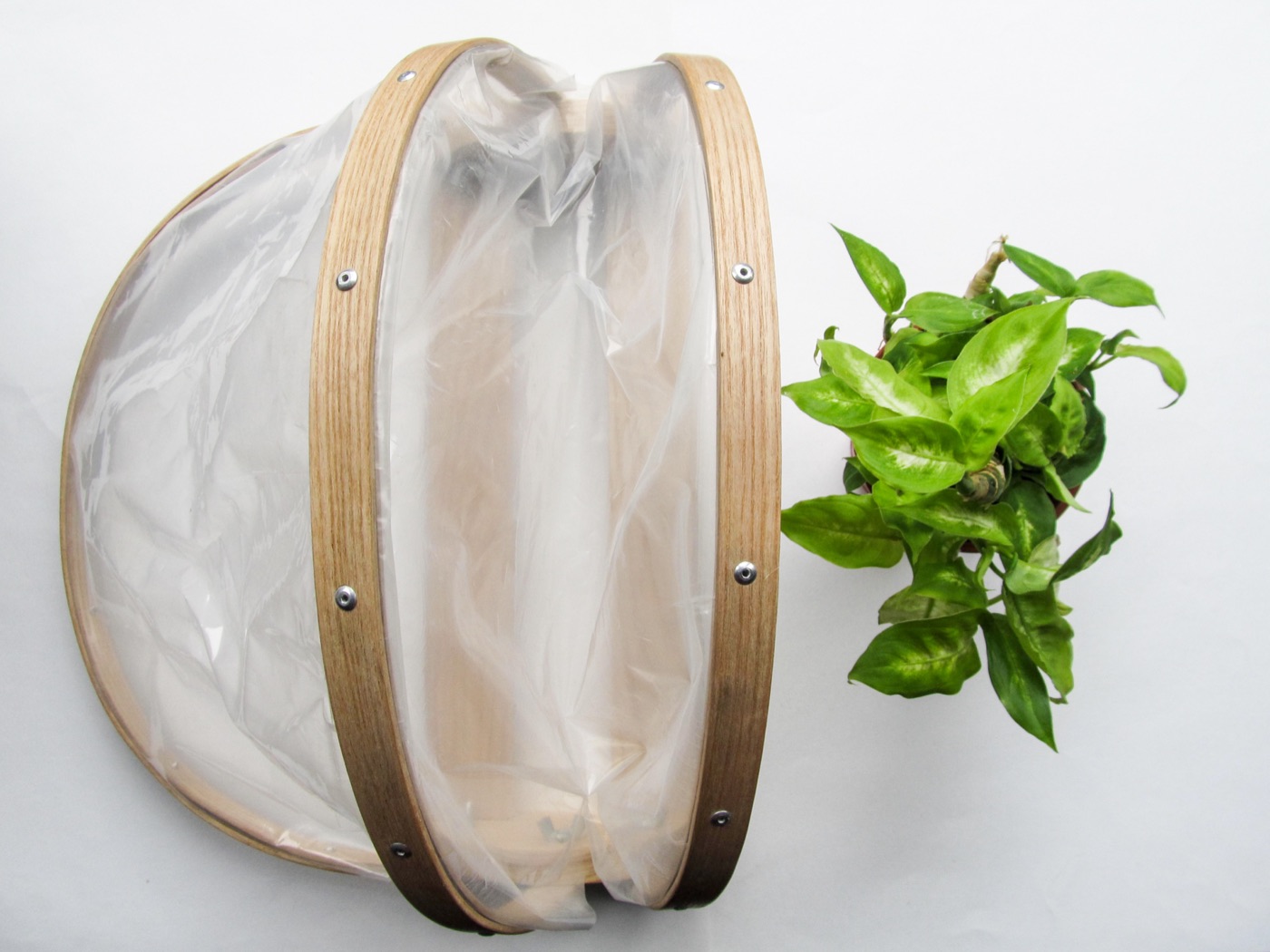 Vegetable seedlings offered door to door