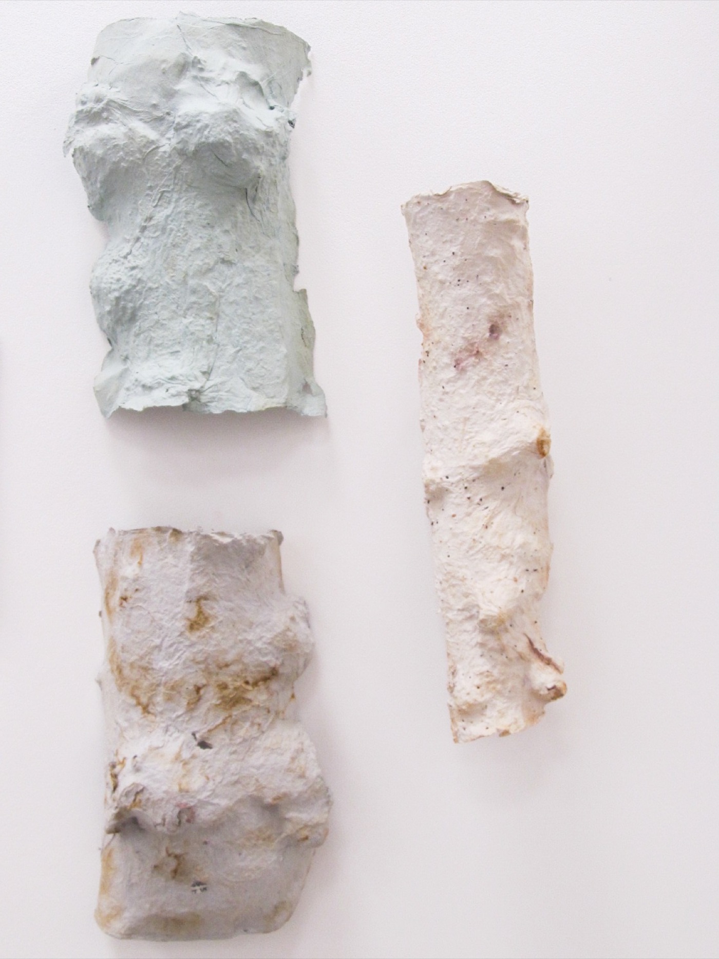 Paper pots formed from seed paper